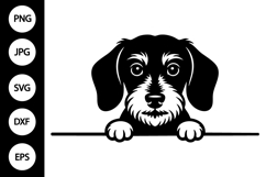 Peeking Wirehaired Dachshund Dog SVG Product Image 1