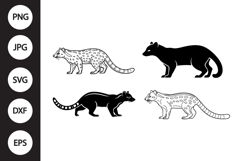 African Palm Civet SVG, African Palm Civet Clipart Product Image 1