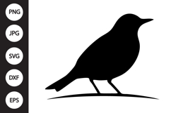 Robin Bird SVG Product Image 1