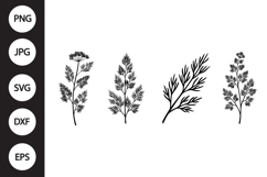Dill Herb SVG, Dill Herb Clipart Product Image 1