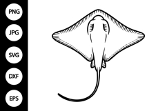 Stingray Outline SVG, Coloring Page Product Image 1