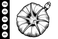 Outline Morning Glory Flower SVG Product Image 1