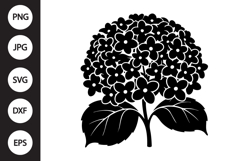 Hydrangea SVG Product Image 1
