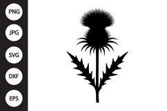 Scottish Thistle SVG Product Image 1