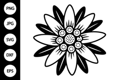 Edelweiss Flower SVG Product Image 1
