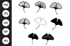 Ginkgo Leaf SVG, Ginkgo Leaf Clipart Product Image 1