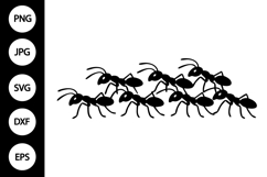 Ant Silhouette SVG Product Image 1