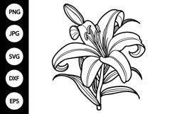 Outline Lily SVG, Coloring Page Product Image 1
