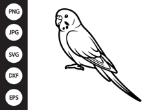 Budgie Bird SVG Product Image 1