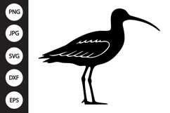 Eastern Curlew Bird SVG Product Image 1