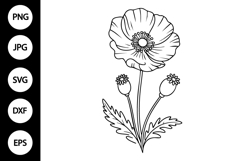 Elegant Minimalist Poppy Flower SVG Product Image 1