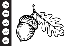Acorn with Leaf SVG Product Image 1