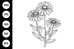 Outline Zinnia SVG, Coloring Page Product Image 1