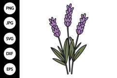 Lavender Clipart, Lavender SVG Product Image 1