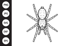 Tarantula SVG Product Image 1