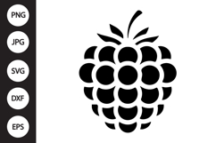 Raspberry SVG Product Image 1