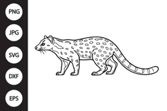 African Palm Civet SVG Product Image 1