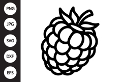 Raspberry SVG Product Image 1