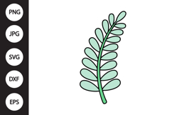 Fern Leaf SVG Product Image 1