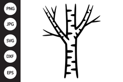 Birch Tree SVG Product Image 1
