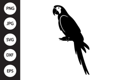 Parrot SVG Product Image 1
