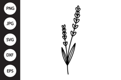 Lavender Botanical SVG Product Image 1