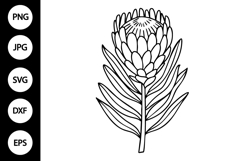 Outline Protea Flower SVG Product Image 1