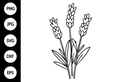 Outline Lavender SVG, Coloring Page Product Image 1