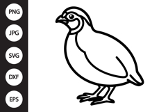 Quail Outline SVG, Coloring Page Product Image 1