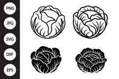 Cabbage SVG, Cabbage Clipart Product Image 1