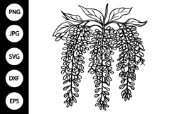 Outline Wisteria Flower SVG Product Image 1