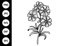 Outline Jasmine Flower SVG, Coloring Page Product Image 1