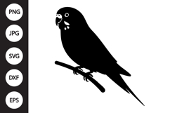 Budgie Bird SVG Product Image 1