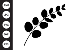Eucalyptus Branch SVG Product Image 1