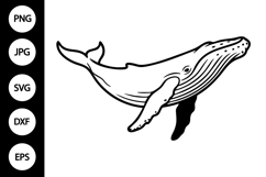 Whale Outline SVG, Coloring Page Product Image 1