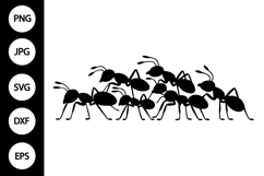 Ant Silhouette SVG Product Image 1