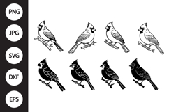 Cardinal SVG Product Image 1
