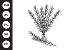 Rosemary SVG Product Image 1