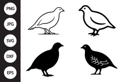 Partridge Bird SVG, Partridge Bird Clipart Product Image 1