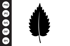 Nettle Leaf SVG Product Image 1