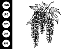 Outline Wisteria Flower SVG Product Image 1