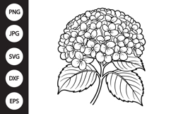 Hydrangea SVG Product Image 1