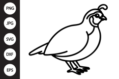 Quail Outline SVG, Coloring Page Product Image 1