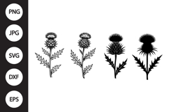 Scottish Thistle SVG, Scottish Thistle Clipart Product Image 1