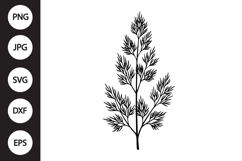 Dill Herb SVG Product Image 1