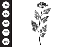 Dill Herb SVG Product Image 1