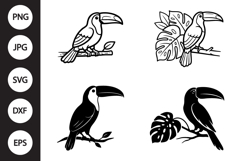 Toucan with Leaf SVG, Toucan with Leaf Clipart Product Image 1