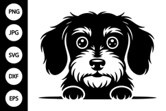Peeking Wirehaired Dachshund Dog SVG Product Image 1