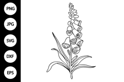Outline Foxglove Flower SVG Product Image 1