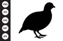 Quail Silhouette SVG Product Image 1